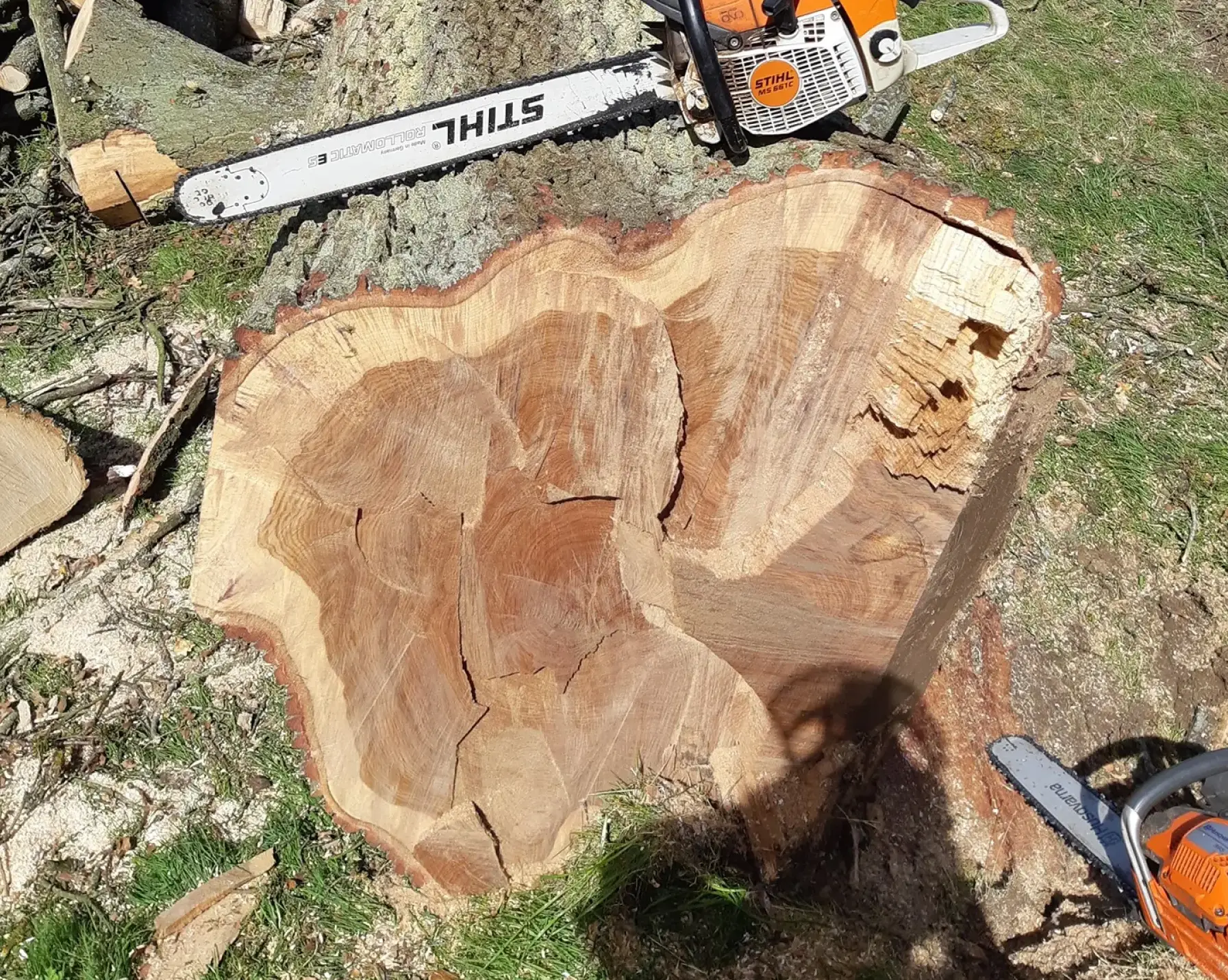  Timber We Extract Malvern, Ledbury, Worcester