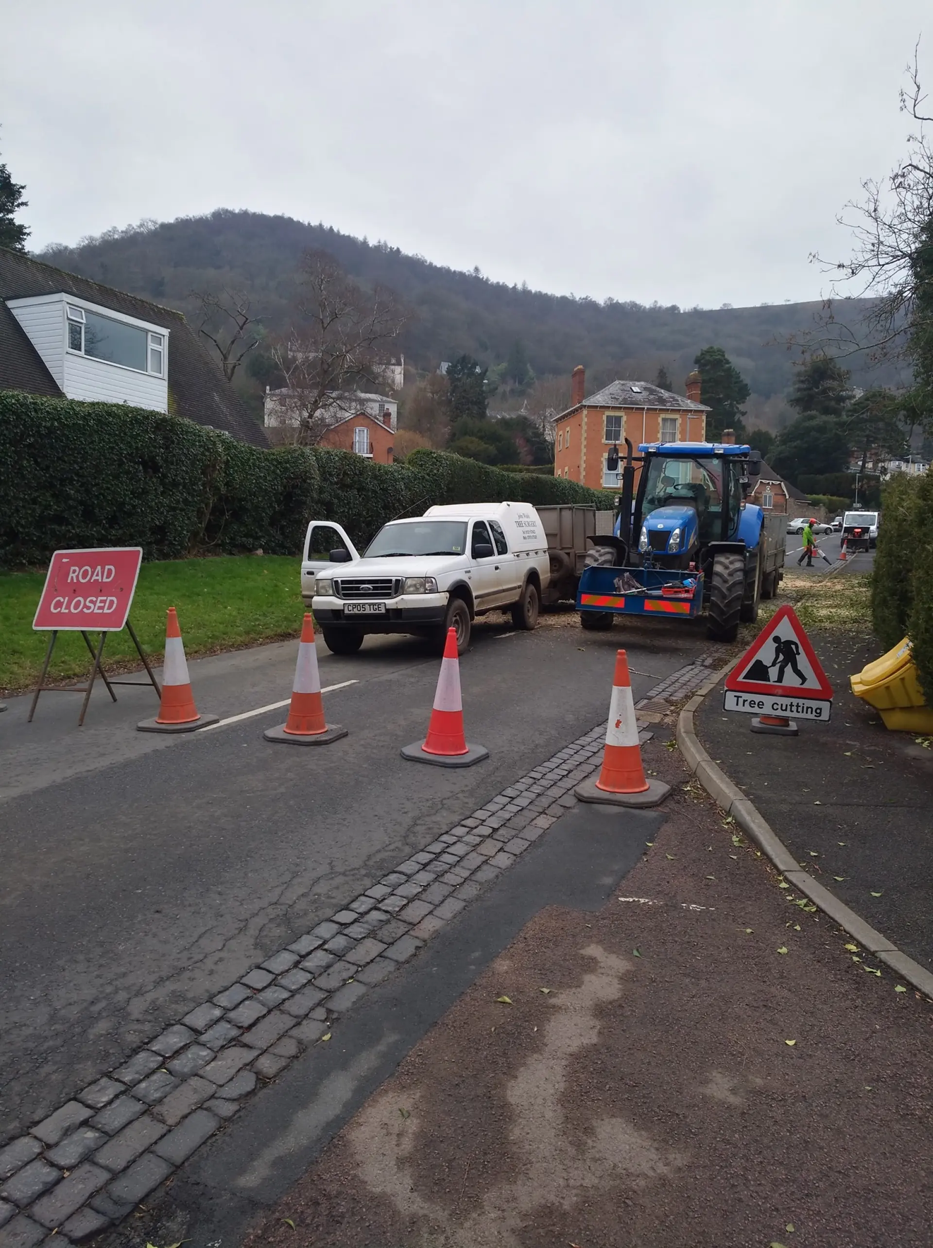 Tree Surgery For Public Spaces