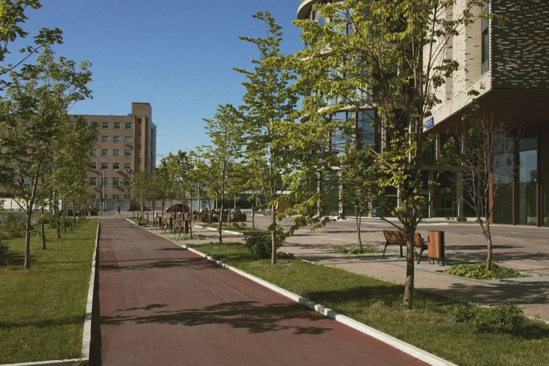 TREE HAZARDS ON SCHOOL GROUNDS