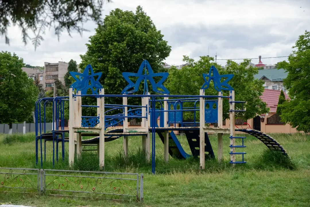 Managing Trees Near Playgrounds and Paths