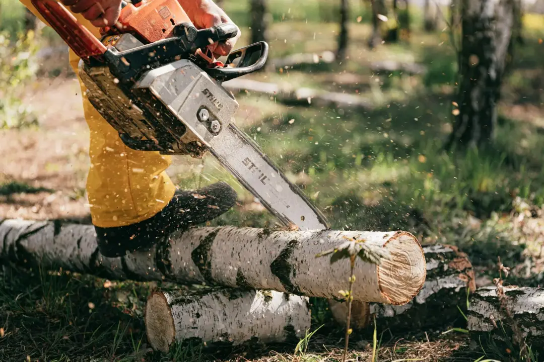Emergency Tree Removal - Emergency Tree Removal After Storm Damage